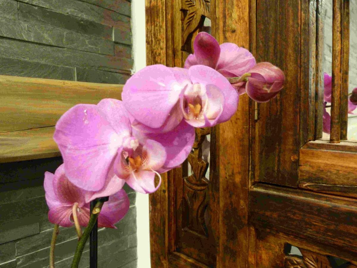Les Bambous B&B Levens ภายนอก รูปภาพ